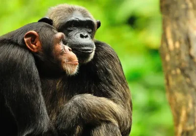 Тени любви: брачные сценарии, о которых не принято говорить