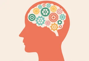 Геймификация мозга: как детская игра из Бразилии обогнала школьную математику