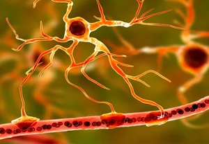 Мозг против пластика: как микропластик пробирается сквозь защиту и атакует нервы