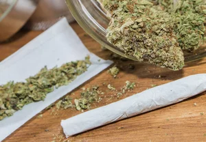 Дети-тестеры: Как марихуана в животе матери превращает мозг в казино с сломанным автоматом