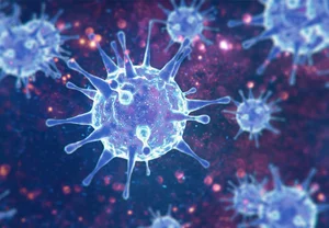 Герпес, который не прощает: как вирус детства играет злую шутку с вашей старостью