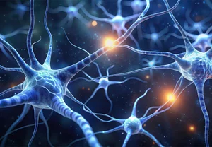 Паранойя мышиных масштабов: как мозг учится не бояться надумываемых угроз