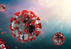 COVID-19 и голова: как мозг чинит сам себя, пока мы жалуемся на усталость