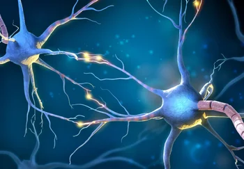 На беговой дорожке к вечной молодости мозга: как мышиные сосуды преподали науке новый урок