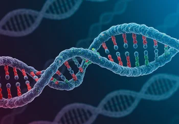 Почему у мужчин и женщин разные мозги, или гены, которые всё портят уже 70 миллионов лет