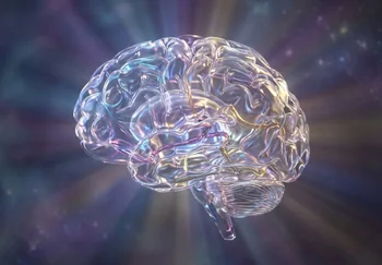 Мозг грязи не прощает: как сон очищает наш чердак (но никто не знает как)