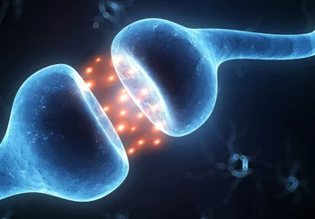 Почему первый раз — всегда особенный: мозг мух раскрывает тайны скуки и зависимости