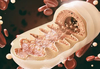 Грусть и митохондрии: почему одиночество может доконать даже самые крепкие клетки