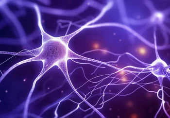 Провода в голове: как одна белковая «починка» может изменить мозг при синдроме Дауна