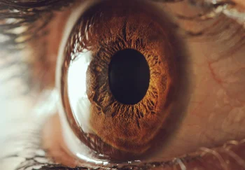 Когда взгляд — не просто взгляд: как по глазам вычислить пилота в кабине