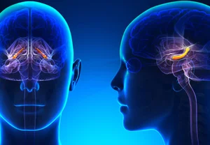 Кто вас вылечит — ваш мозг или таблетка?