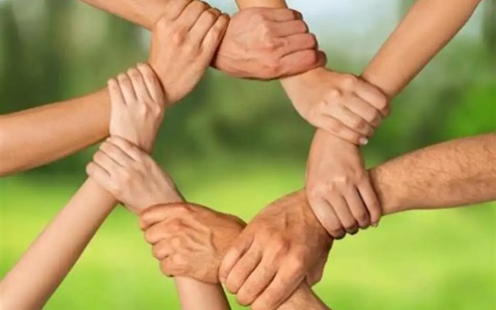 Сложная алхимия дружбы: почему мы ищем друг друга — даже когда теряем связь