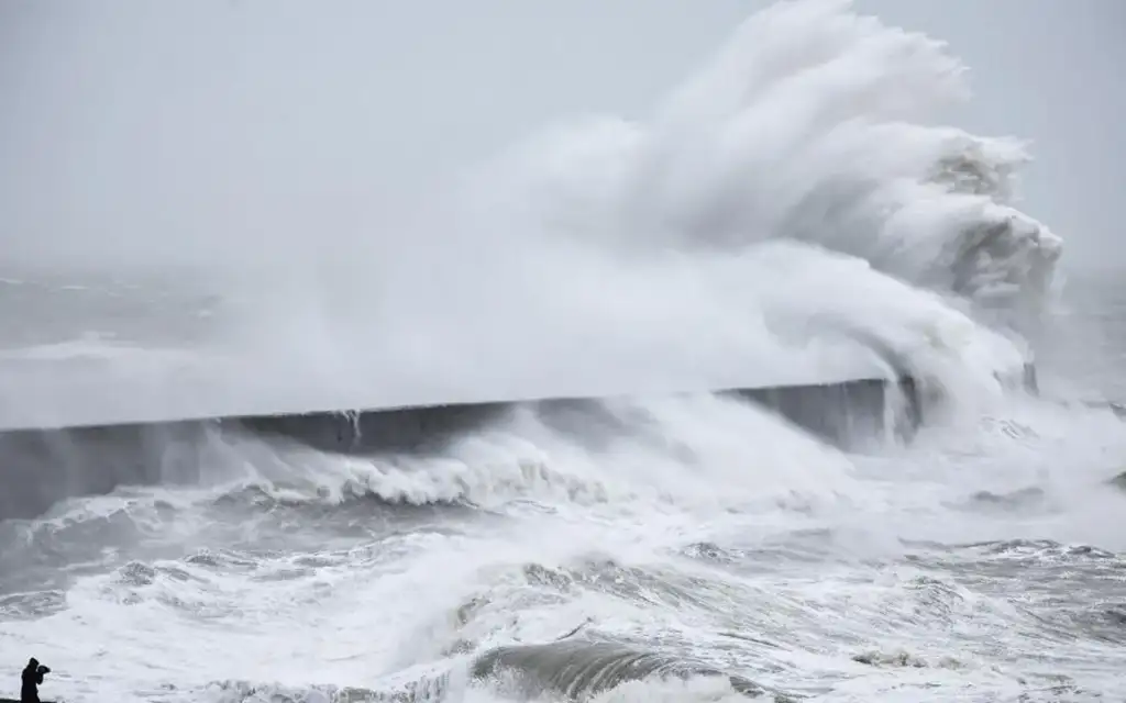 Тайная жизнь нашей психики: Как мы выживаем в бурях перемен