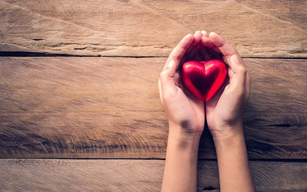 Свет в туннеле: кому удаётся стать настоящей опорой, когда опускаются руки