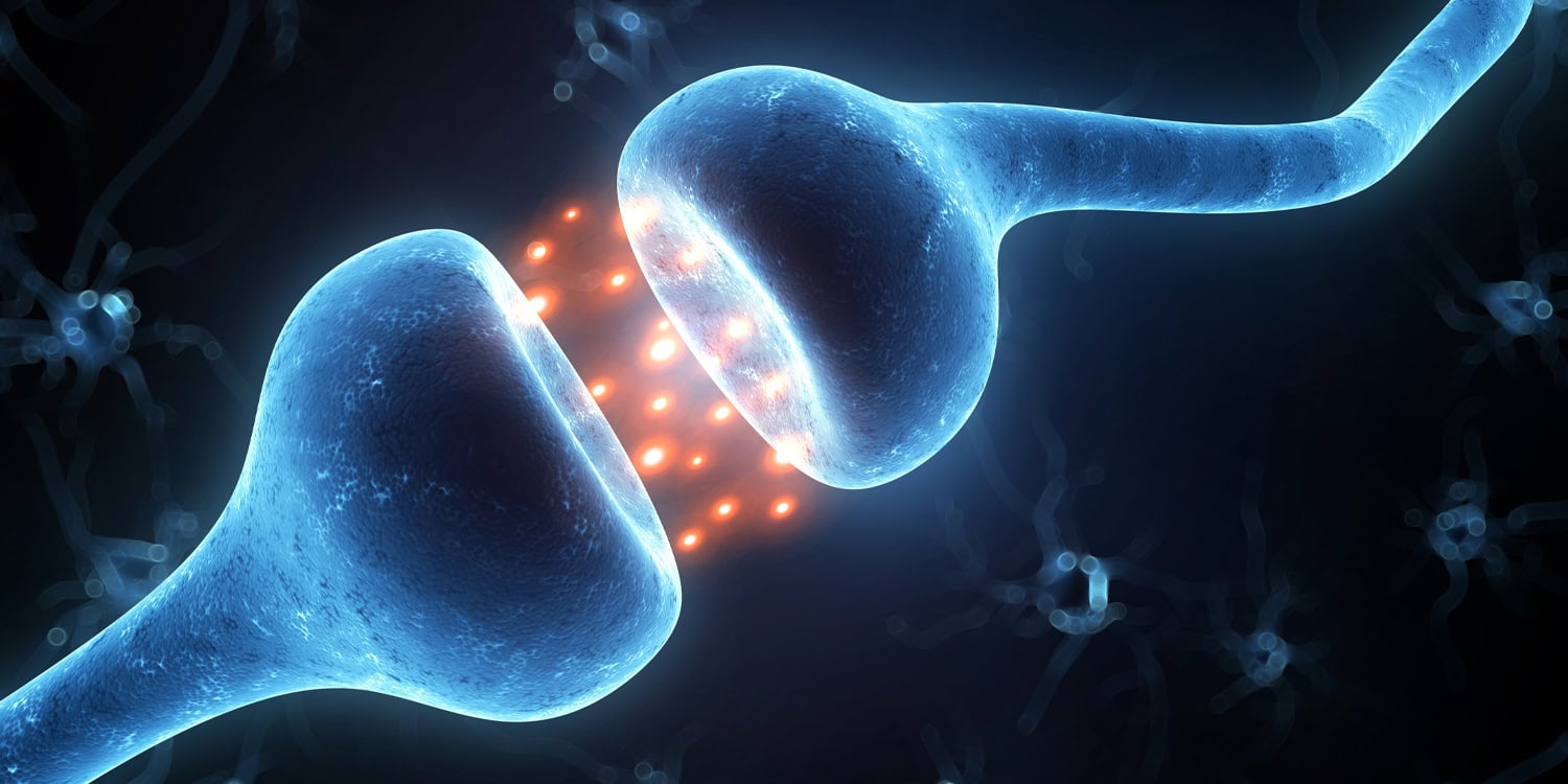 Толкапоне против алкоголизма: "запретный плод" для нейронов?