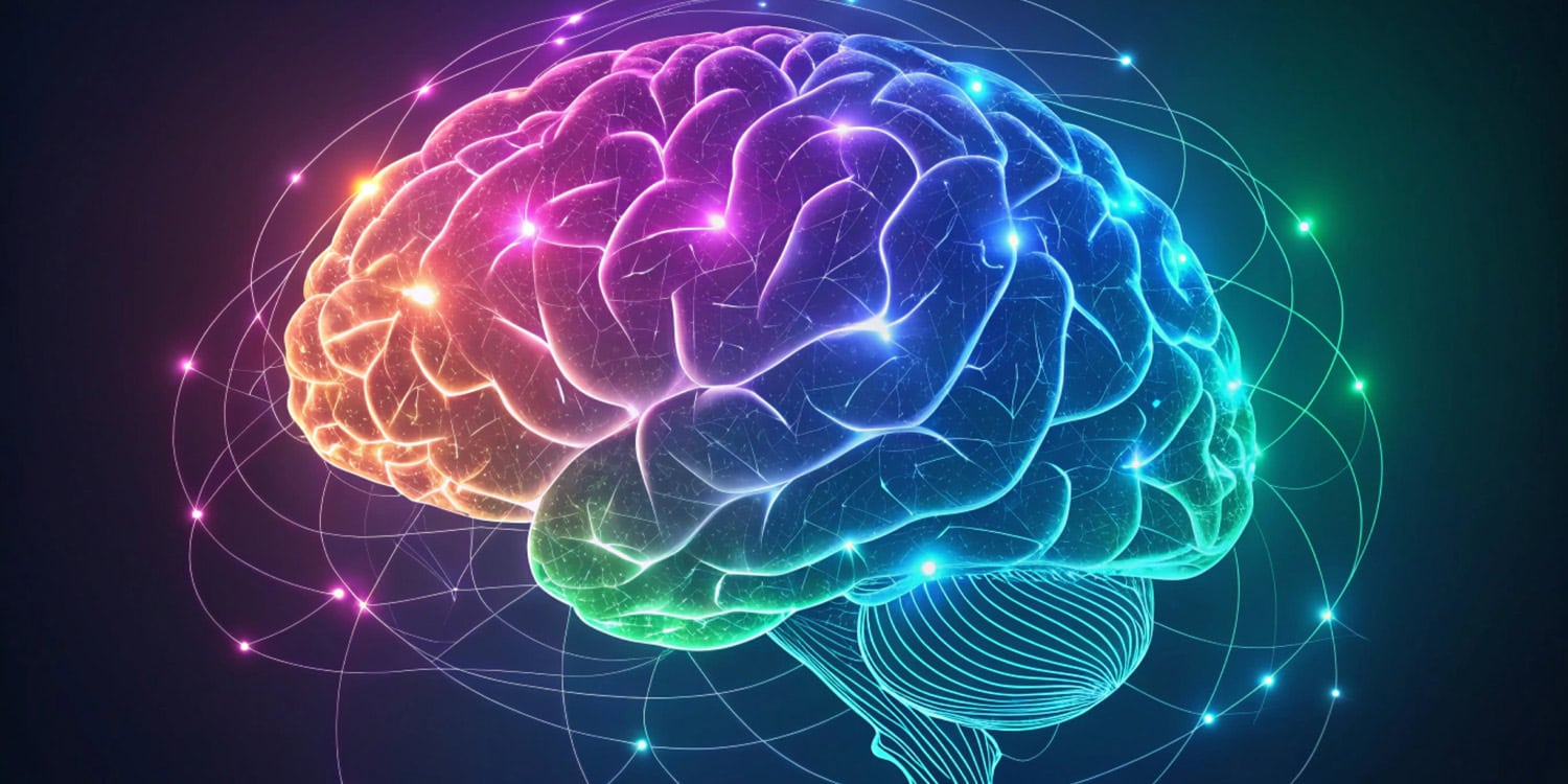 Лимбическая система на минималках: что происходит с мозгом у детей с СДВГ?