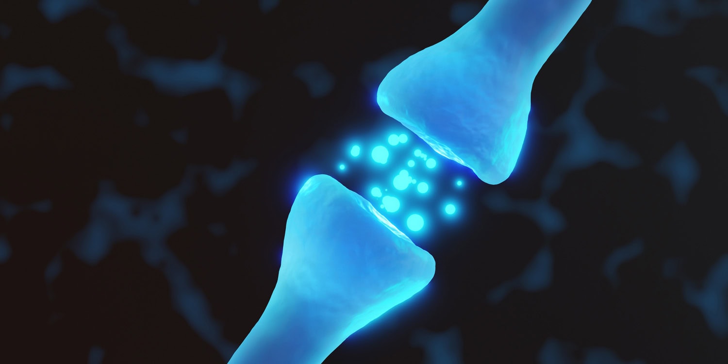 d-Амфетамин против здравого смысла: как мозг крыс забыл слово "нет"