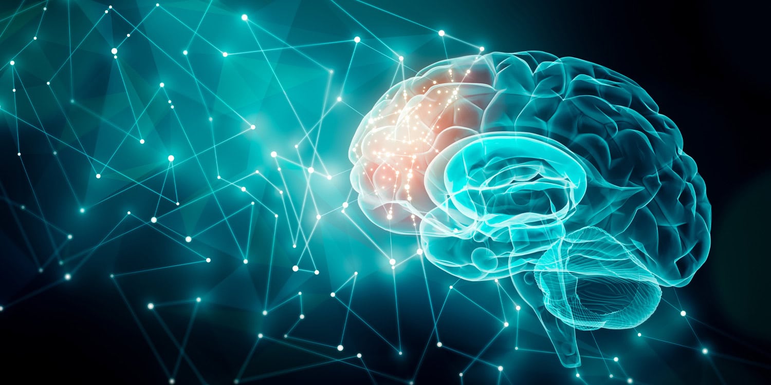 Психология и нейронаука 2025: открытия года, которые перевернули мозги (буквально)
