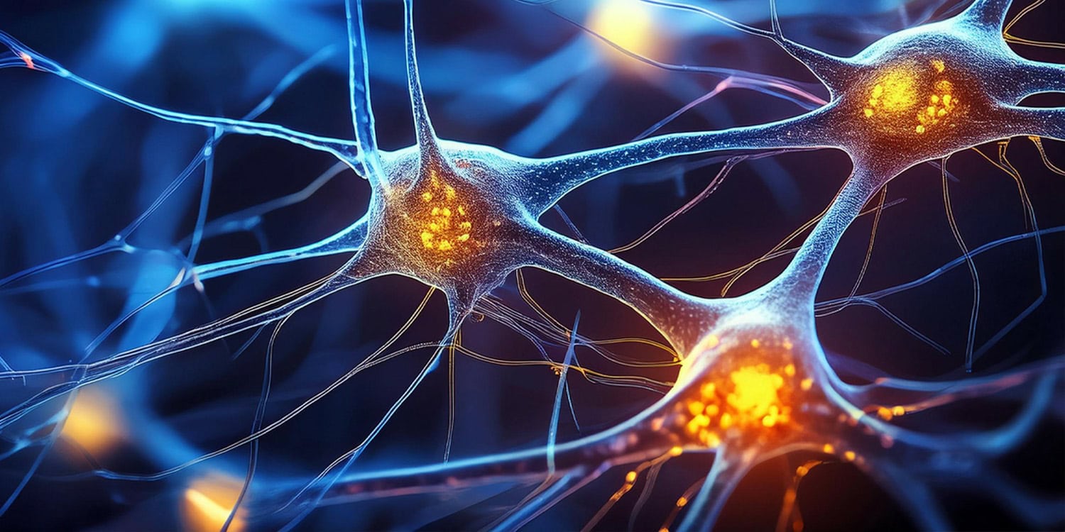 Витамины против аутизма: когда мыши на диете дают надежду человечеству