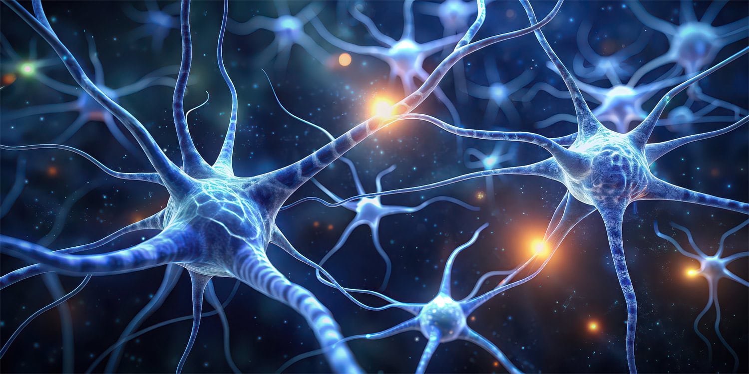 Мозг выбирает чипсы за вас: как реклама дергает нас за невидимые ниточки