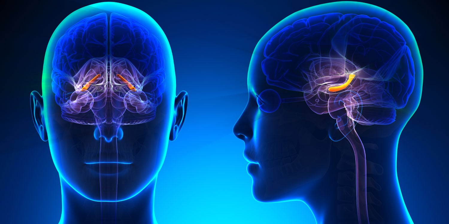 Кто вас вылечит — ваш мозг или таблетка?