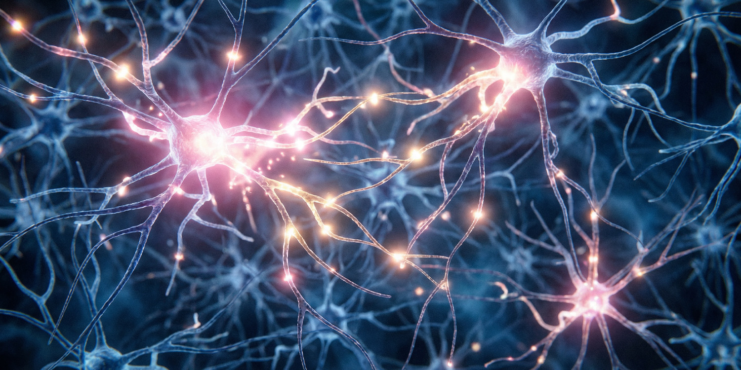 Когда мозг идет «гулять»: как один психоделик внезапно объединил бодрствование и глубокий сон