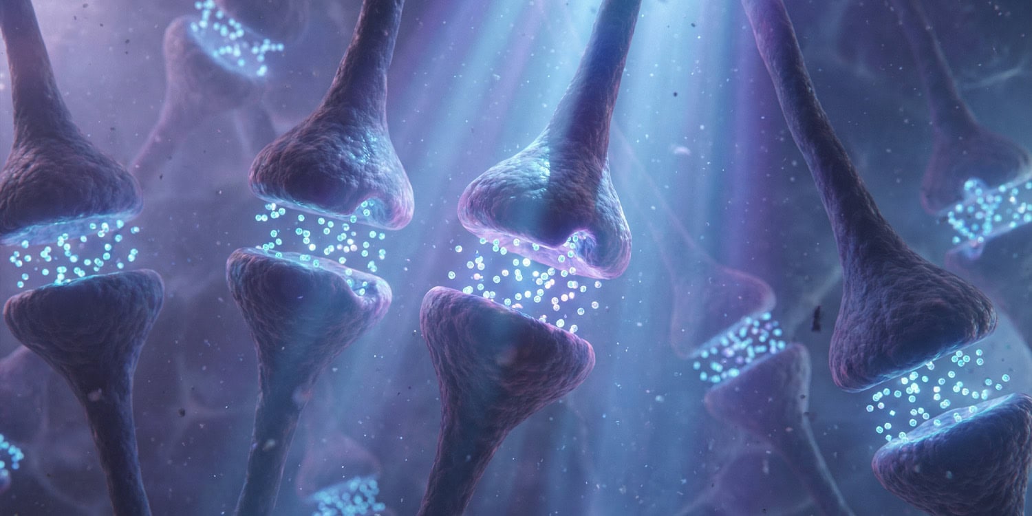 Урок Павлова перечеркнут: как мыши и ученые поставили с ног на голову столетнюю теорию обучения